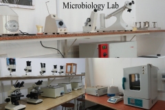 Micro-lab