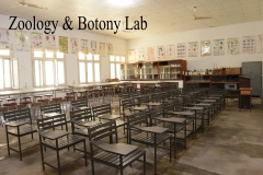 zoligy-n-botony