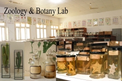 zology-n